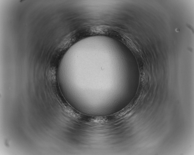 X0000097890466200803281250