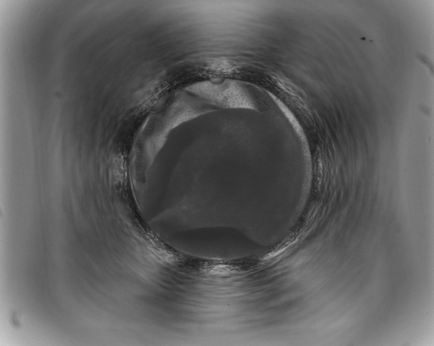 X0000097890467200803281250