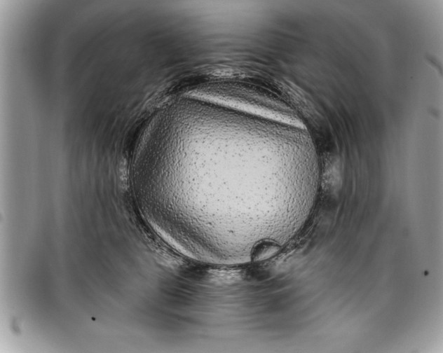 X0000097890469200803281250