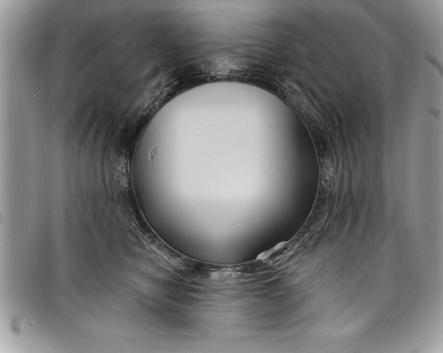 X0000097890470200803281250