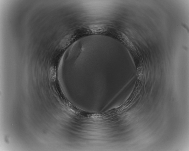 X0000097890471200803281250