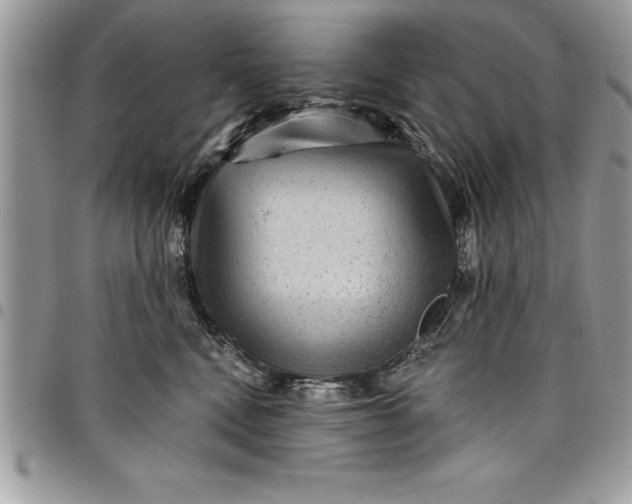 X0000097890472200803281250