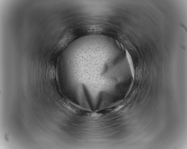 X0000097890474200803281250