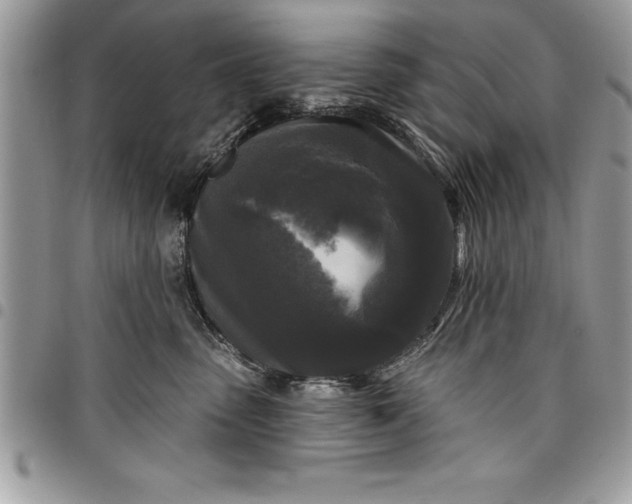 X0000097890475200803281250