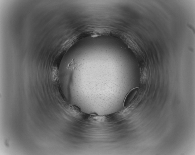 X0000097890478200803281250