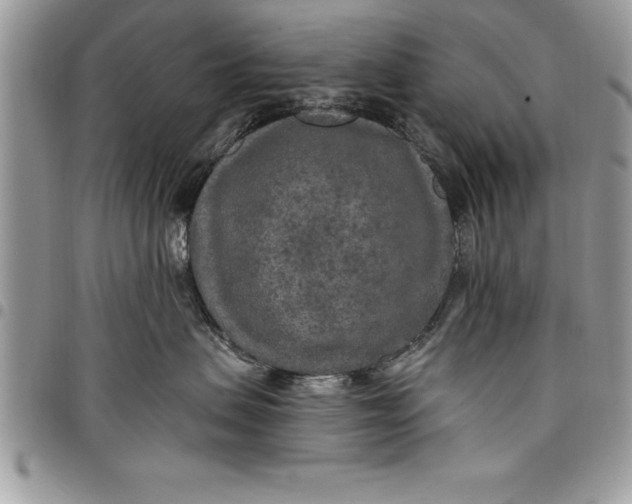 X0000097890479200803281250