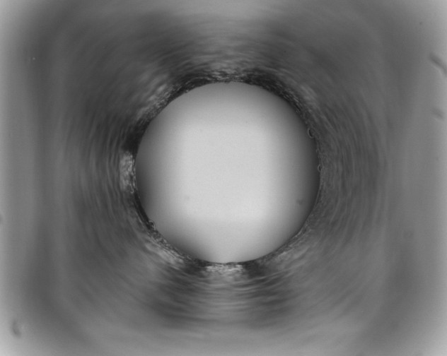 X0000097890480200803281250