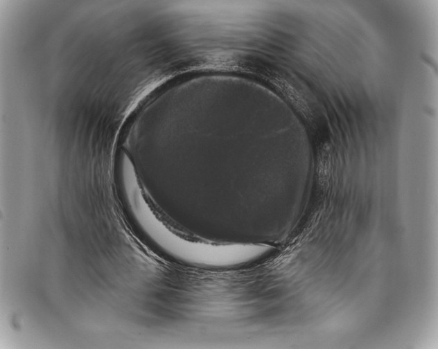 X0000097890484200803281249