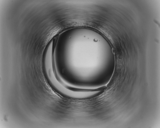 X0000097890485200803281249