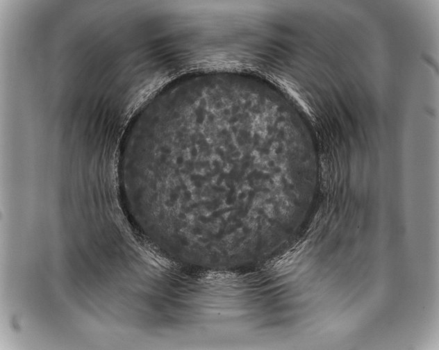 X0000097890487200803281249