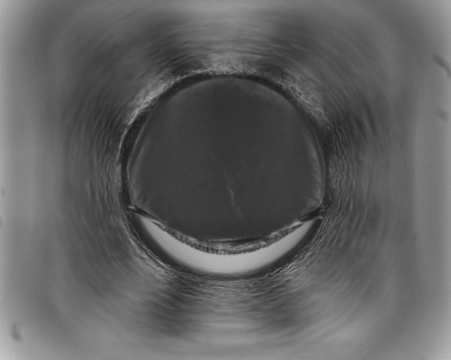 X0000097890488200803281249