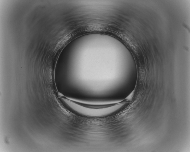 X0000097890489200803281249