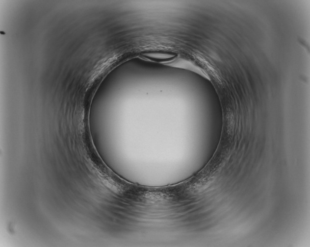 X0000097890490200803281249