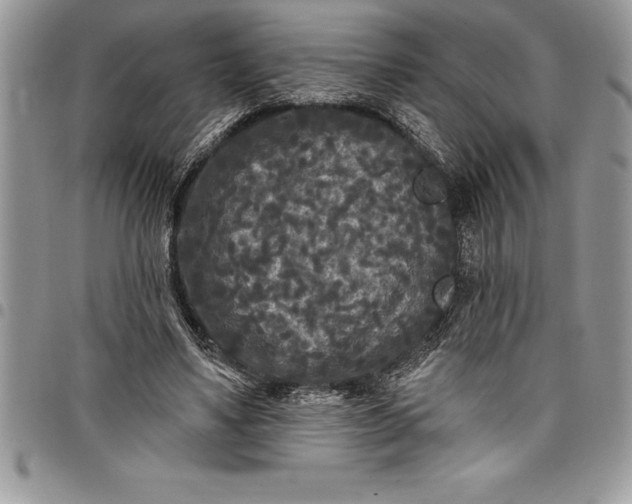 X0000097890491200803281249