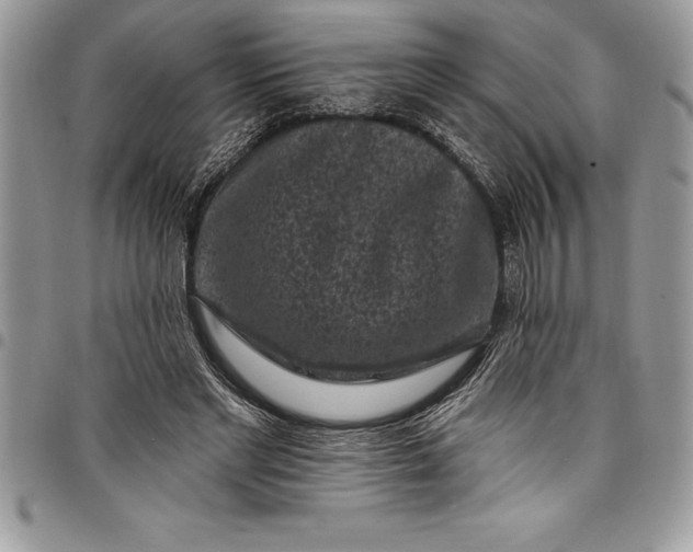 X0000097890493200803281249