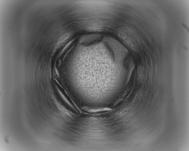 X0000097890494200803281249