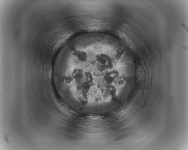 X0000097890495200803281249