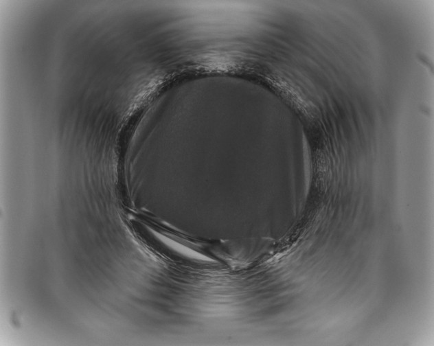 X0000097890496200803281249