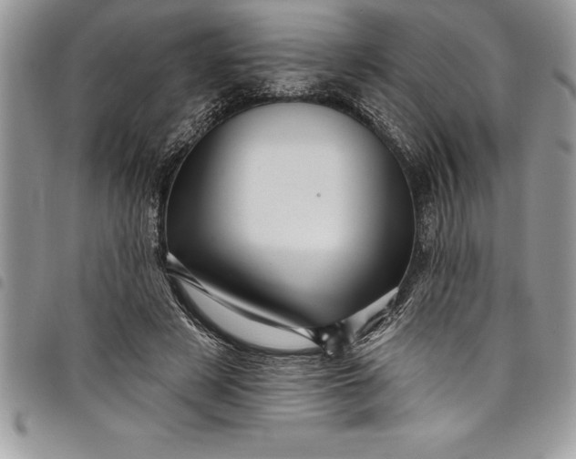 X0000097890497200803281249