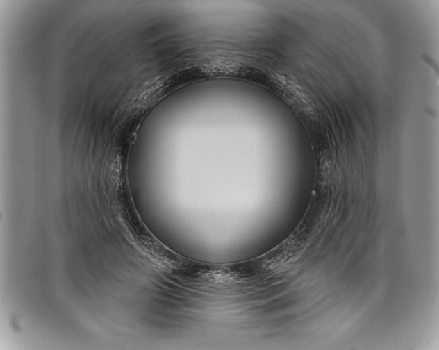 X0000097890498200803281249