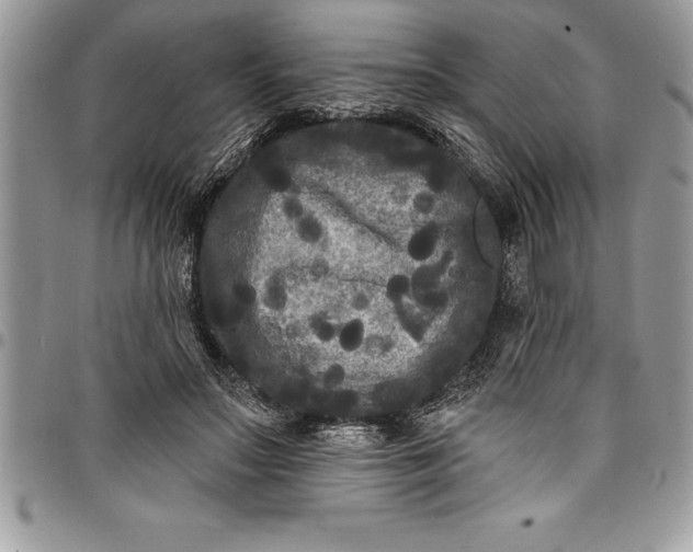 X0000097890499200803281249