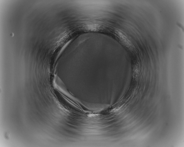 X0000097890500200803281249