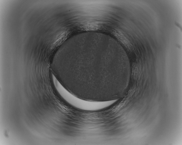 X0000097890501200803281249