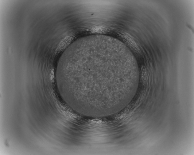 X0000097890502200803281249