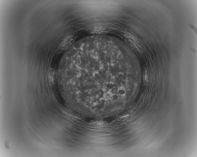 X0000097890503200803281249