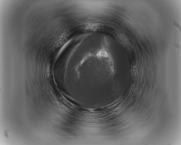 X0000097890504200803281249