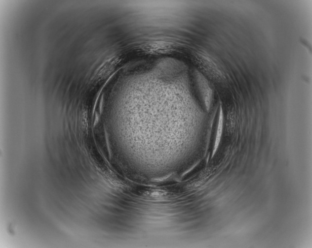 X0000097890506200803281249