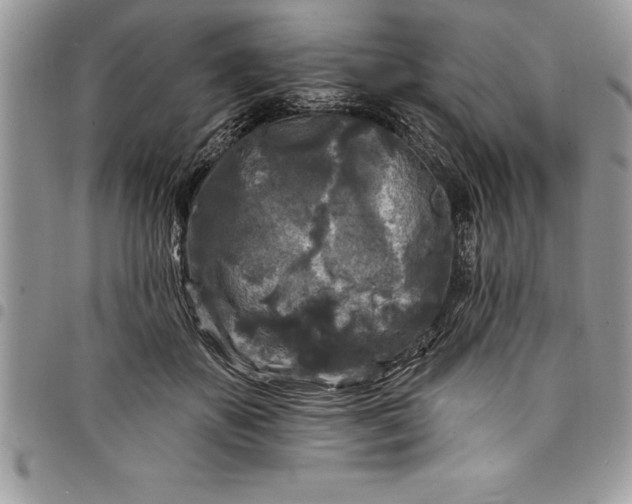 X0000097890507200803281249