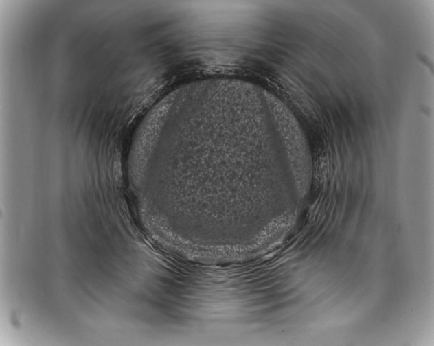 X0000097890508200803281249