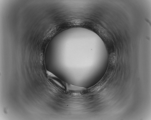 X0000097890509200803281249