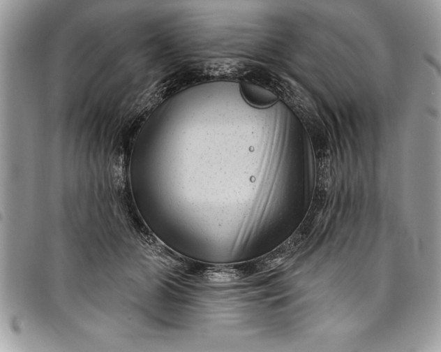 X0000097890510200803281249