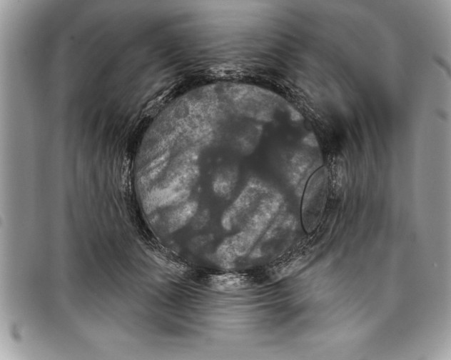 X0000097890511200803281249