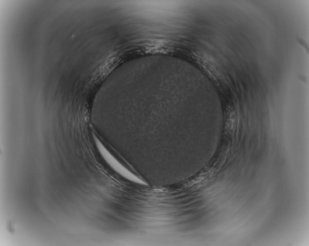 X0000097890513200803281249