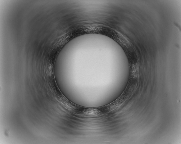 X0000097890514200803281249