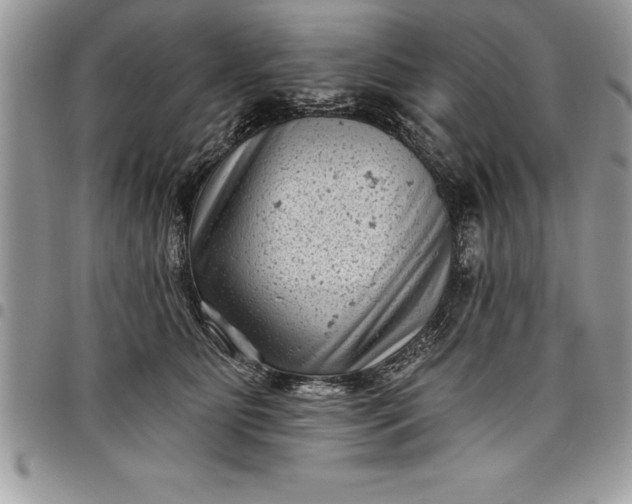 X0000097890515200803281249