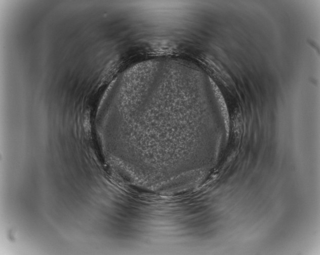 X0000097890516200803281249