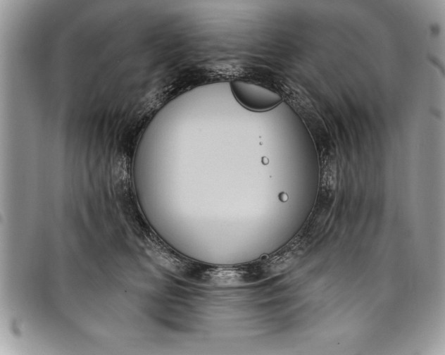 X0000097890518200803281249