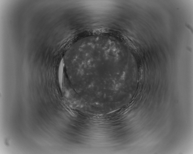 X0000097890519200803281249