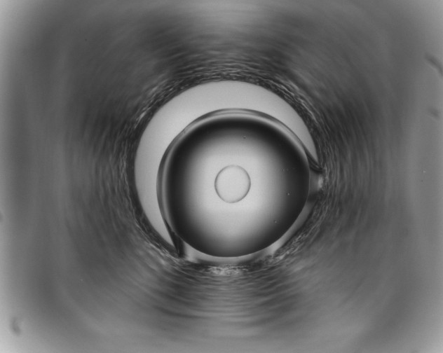 X0000097890520200803281249