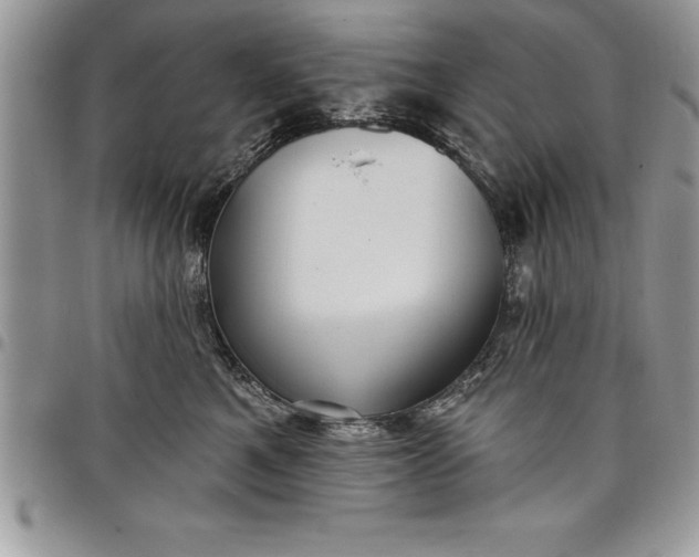 X0000097890521200803281249