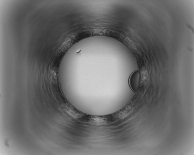 X0000097890522200803281249