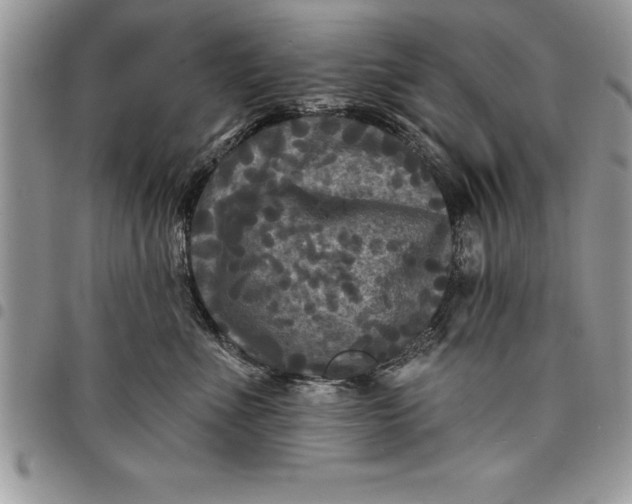 X0000097890523200803281248