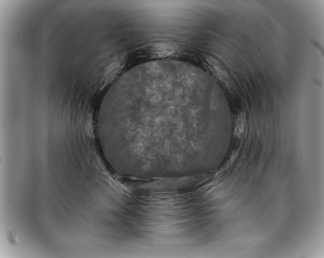 X0000097890524200803281248