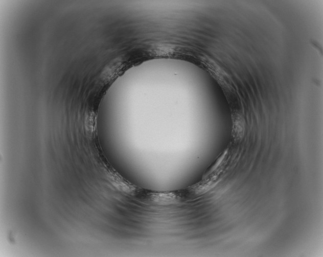 X0000097890525200803281248