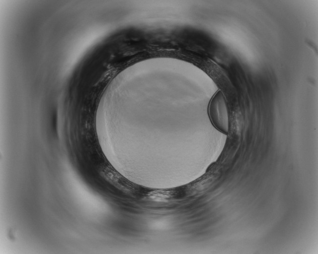 X0000097890526200803281248