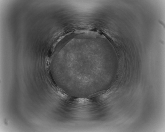 X0000097890528200803281248